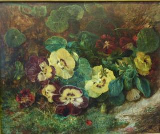 Pansies & Nasturtium, on a mossy bank