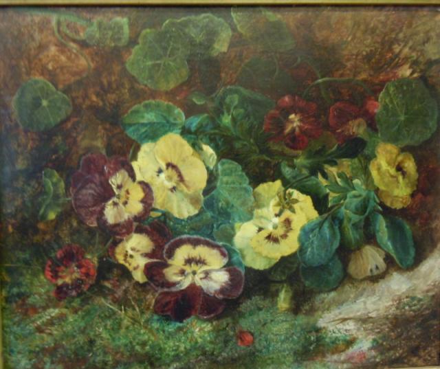 Pansies & Nasturtium, on a mossy bank