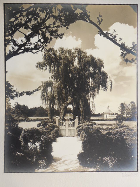 9.5 x 7.5” gelatin silver print