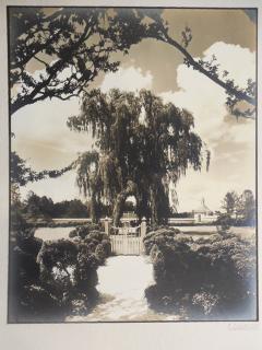 AMERICAN REVOLUTIONARY WAR Soldiers Burying Ground, Colonial Williamsburg,  photographed in 1935