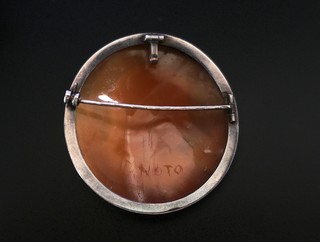 7-P1380835.JPG