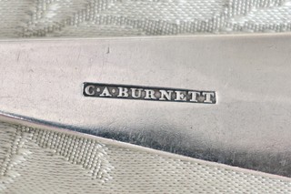 CHARLES ALEXANDER BURNETT