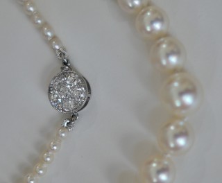 FINE AKOYA SALTWATER CULTURED PEARLS, 17"  with DIAMOND CLUSTER CLASP