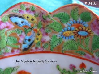 Blue & yellow butterfly & daisies